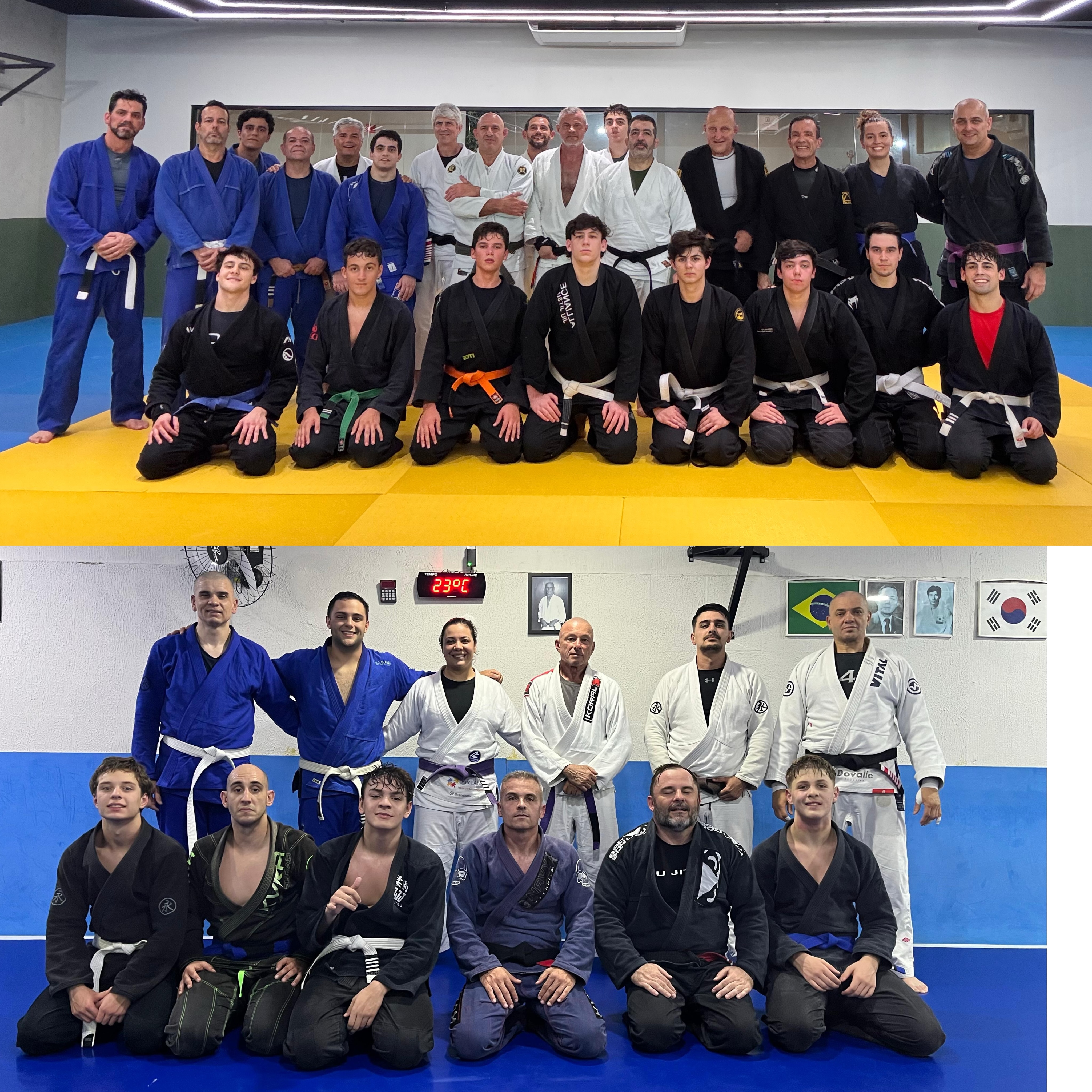 Foco e disciplina 🥋
@constantinojiujitsu
@espacodojo
@jiujitsu_paineiras